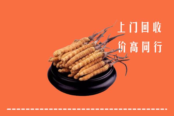芜湖回收散虫草